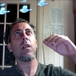 zefbirds